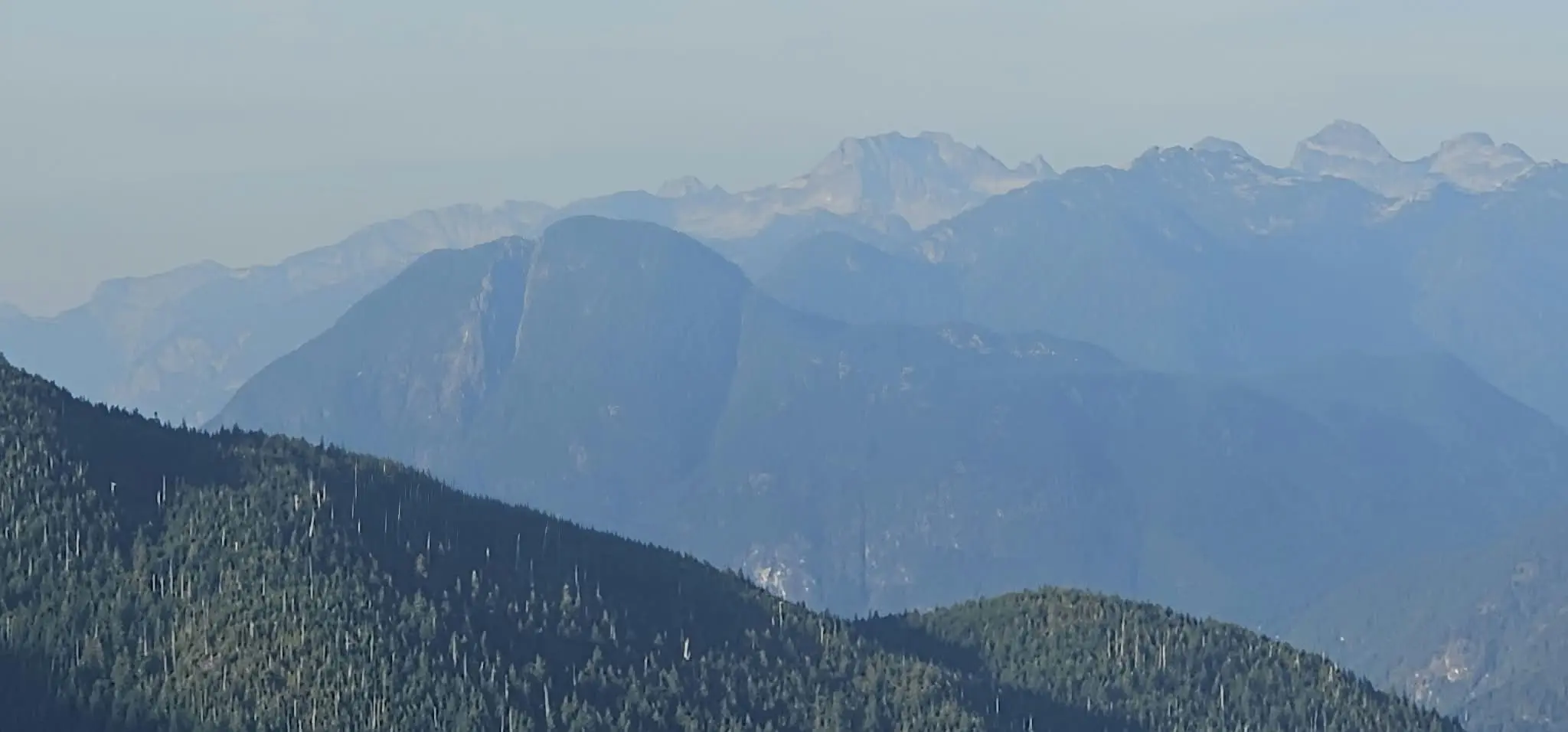 Mountain skyline from the 79 Grind viewpoint, with probable Mount Robie Reid near the centre and Mount Judge Howay farther right