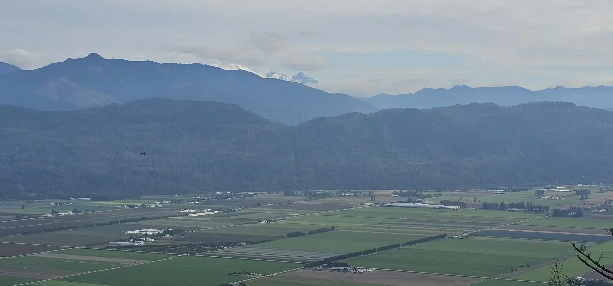 View from the Abby Grind across Sumas Prairie toward Mount Baker, Highway 1 and Fraser Valley farmland