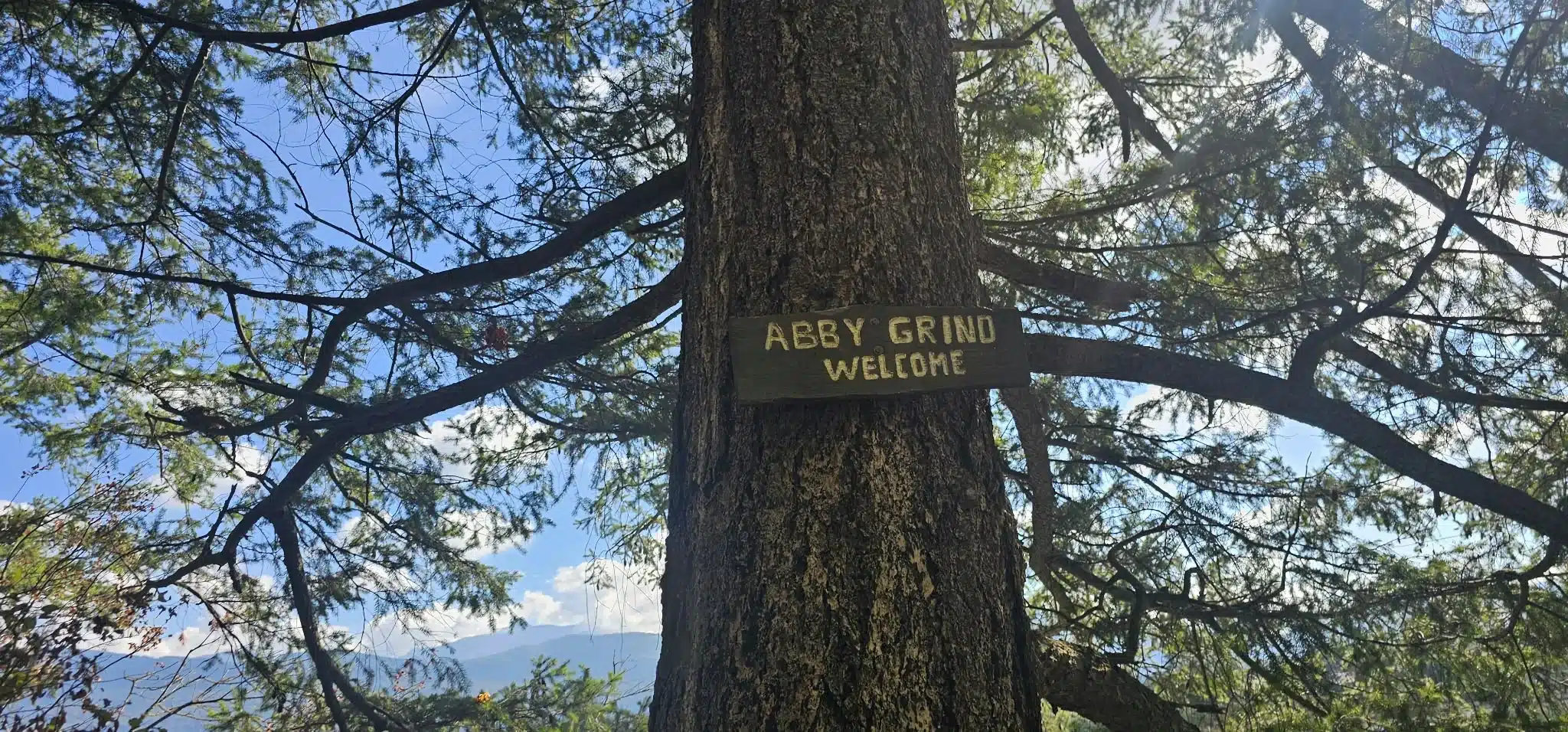 Wooden Abby Grind welcome sign attached to a large tree on the Glen Ryder Trail in Abbotsford
