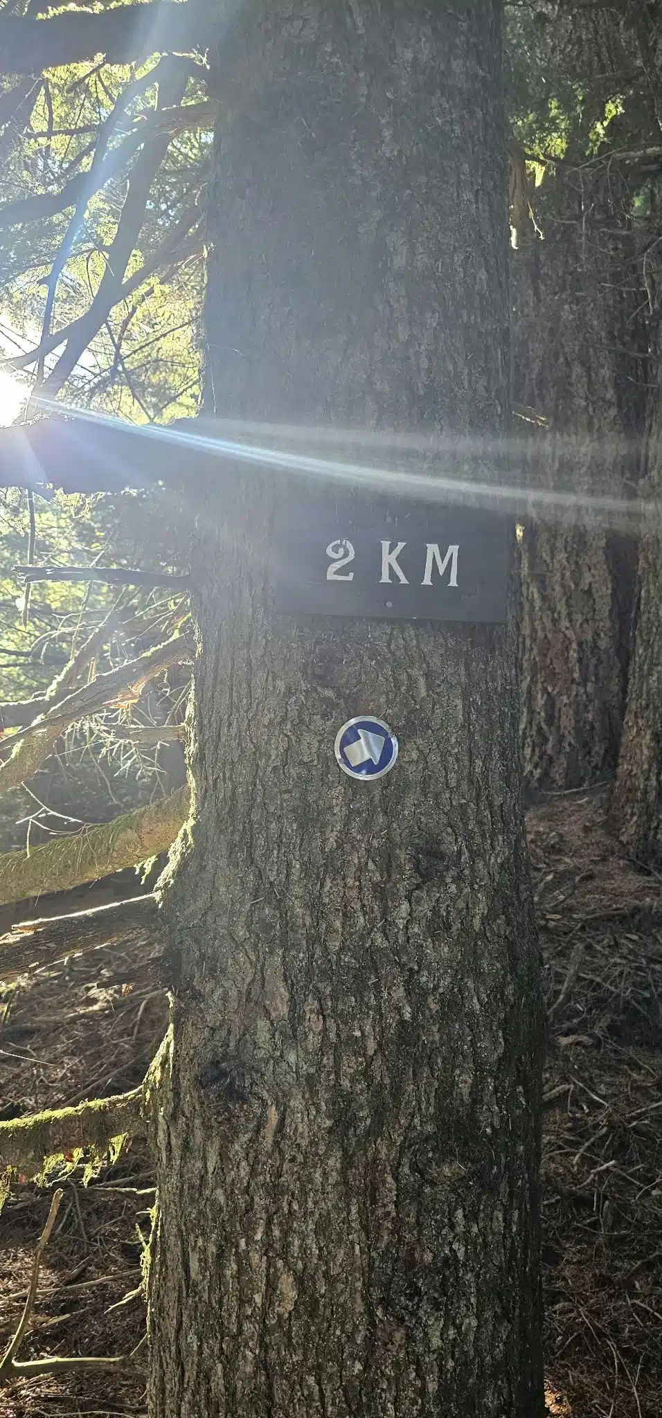 Two-kilometre trail marker near the upper Super Sumas Grind