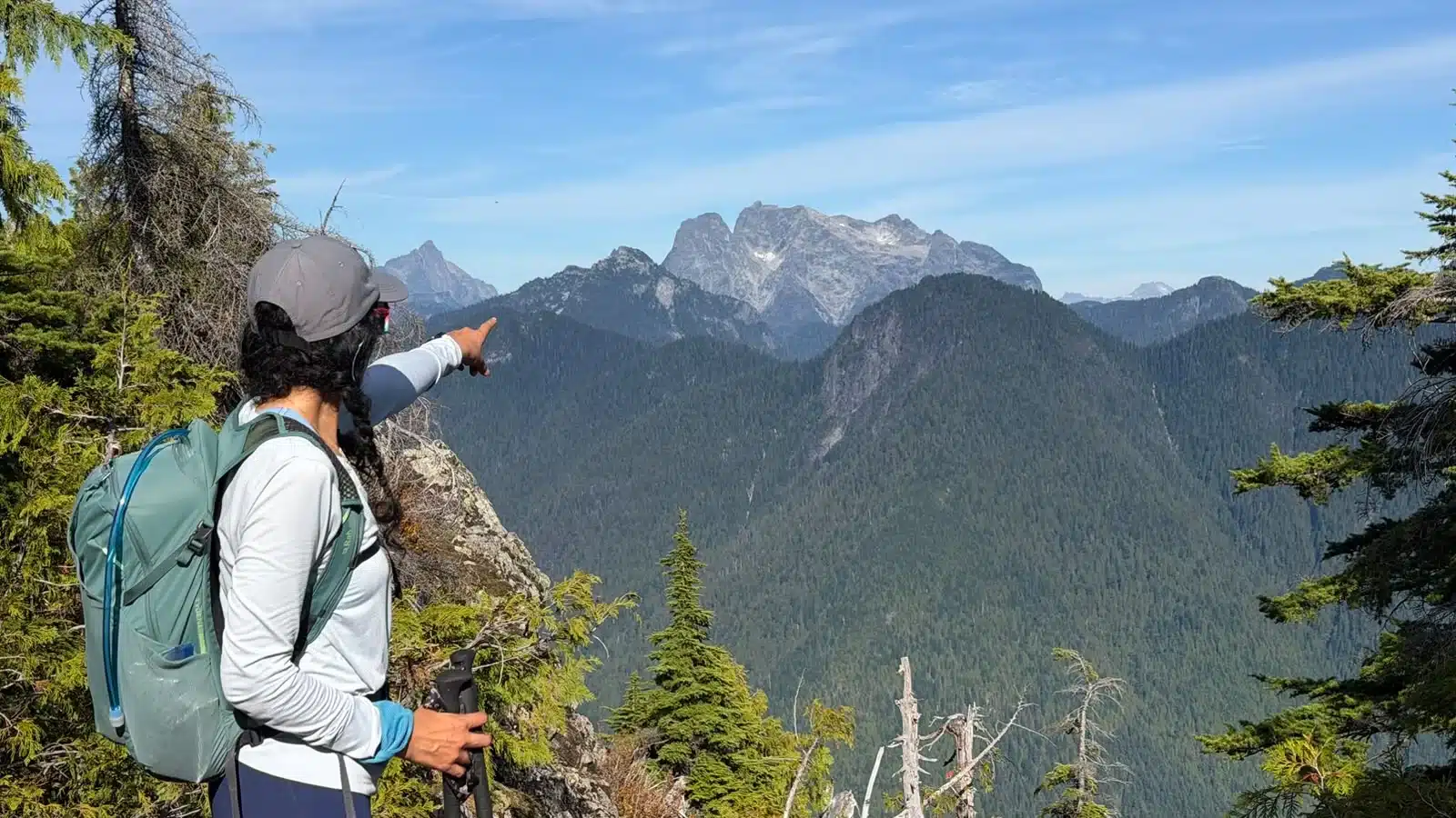 Mount Robie Reid with The Defendant and Mount Judge Howay area seen from Evans Peak