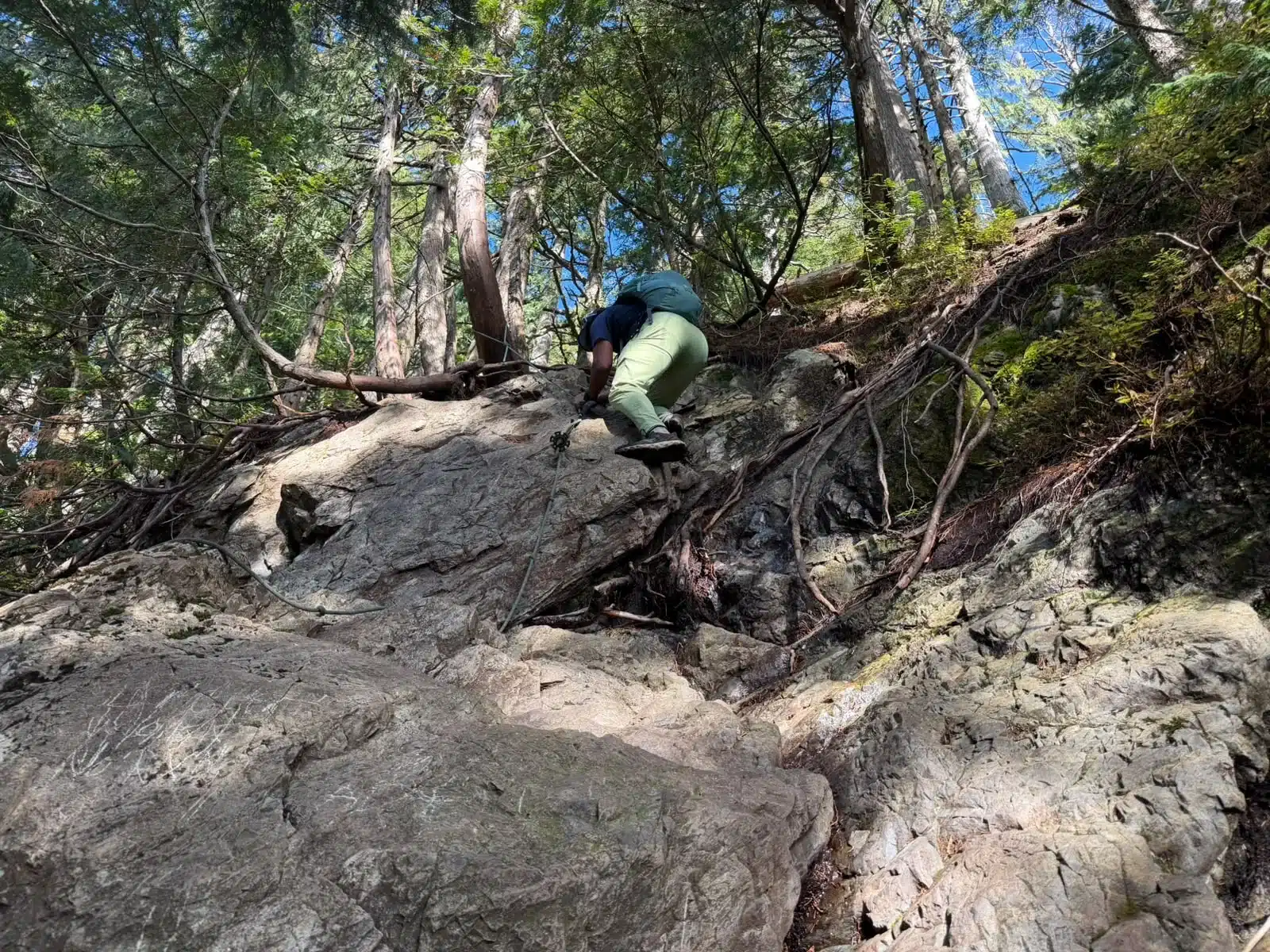 Hiker climbing one of the fixed-rope rock and root sections on the Evans Peak trail