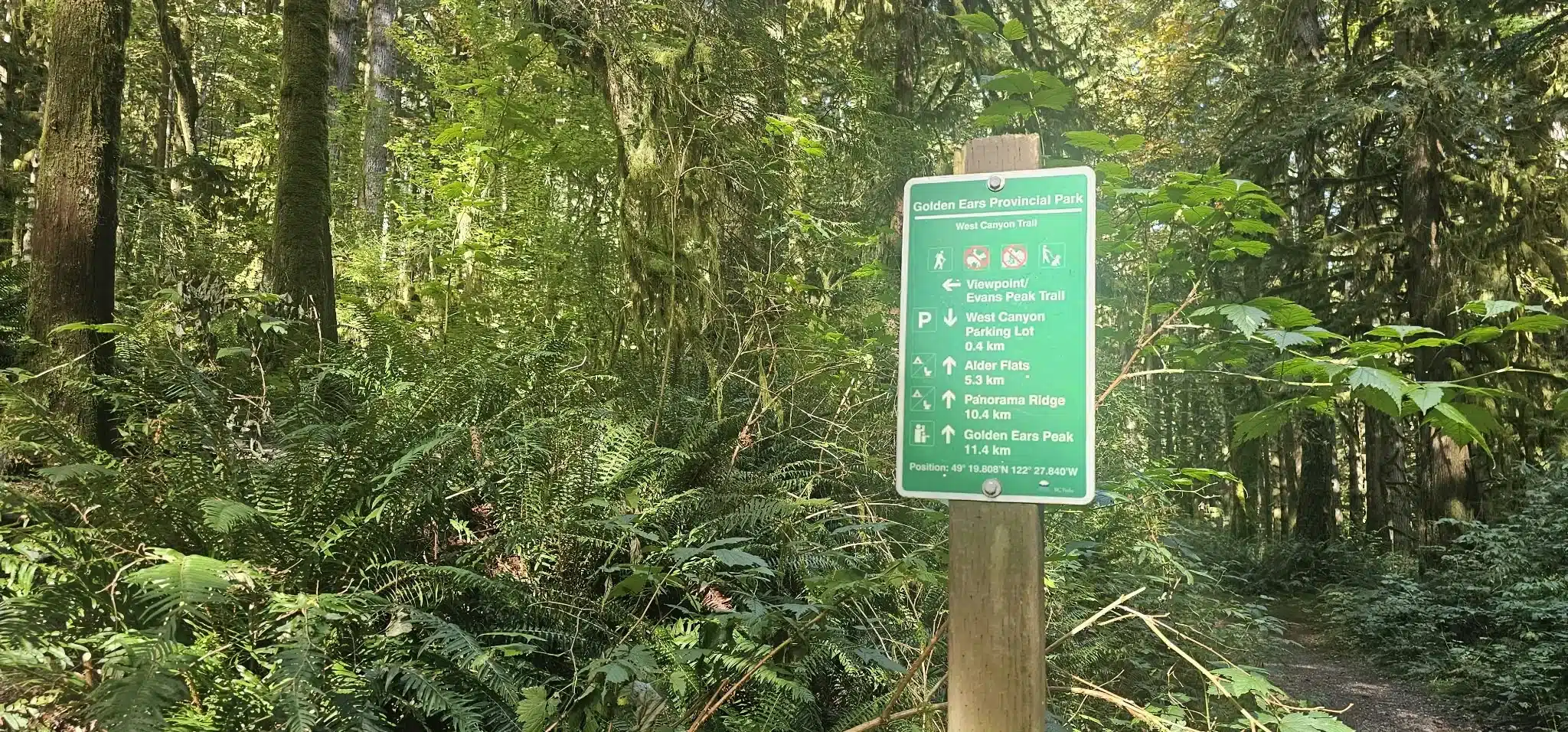 Start of the Evans Peak hike near the West Canyon Trail in Golden Ears Provincial Park