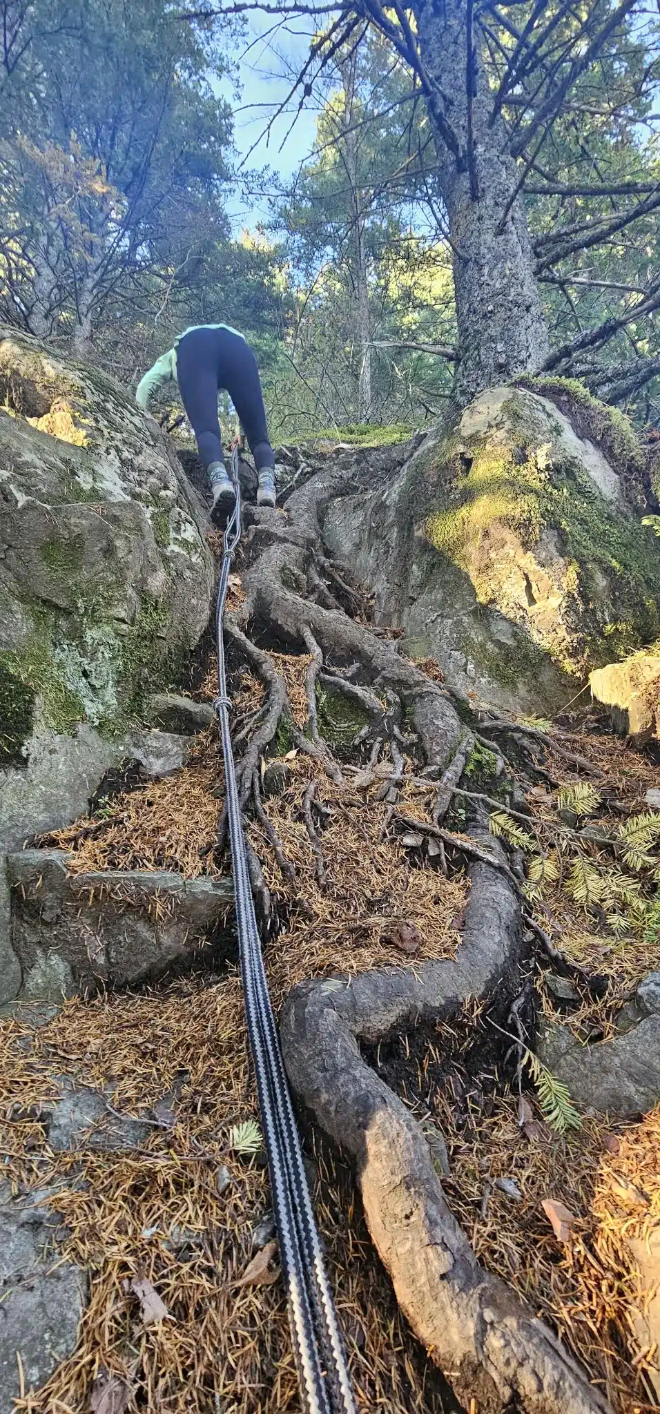 Another fixed rope section over roots and rock on Baker's Grind