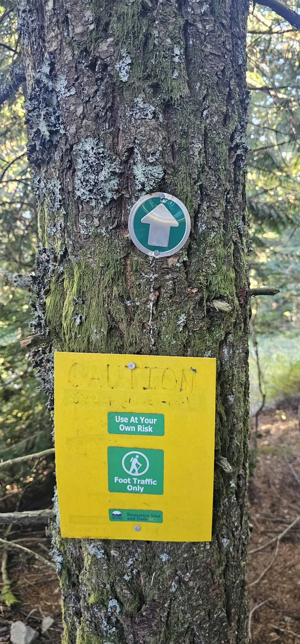 Caution sign and blue directional marker on the Super Sumas Grind trail