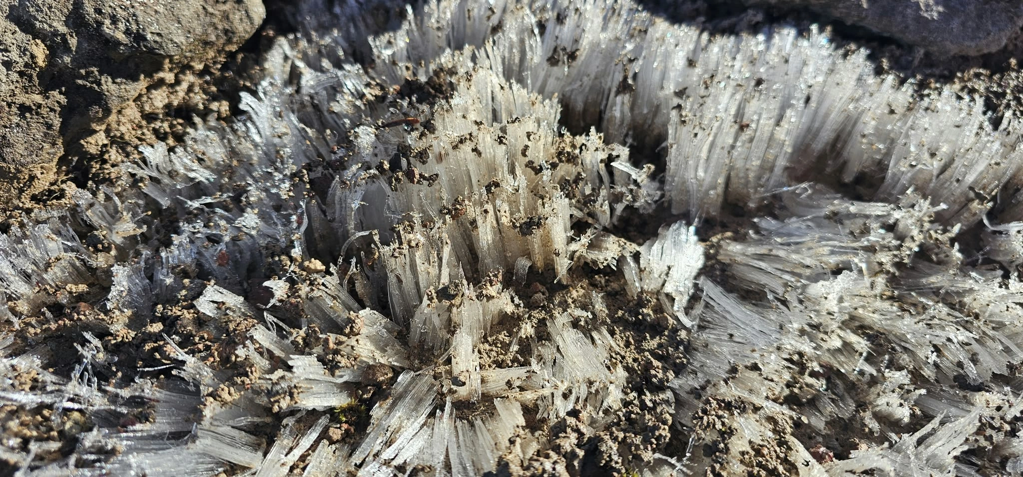 Needle-like columns of ground ice lifting soil fragments on the upper Mount Price approach