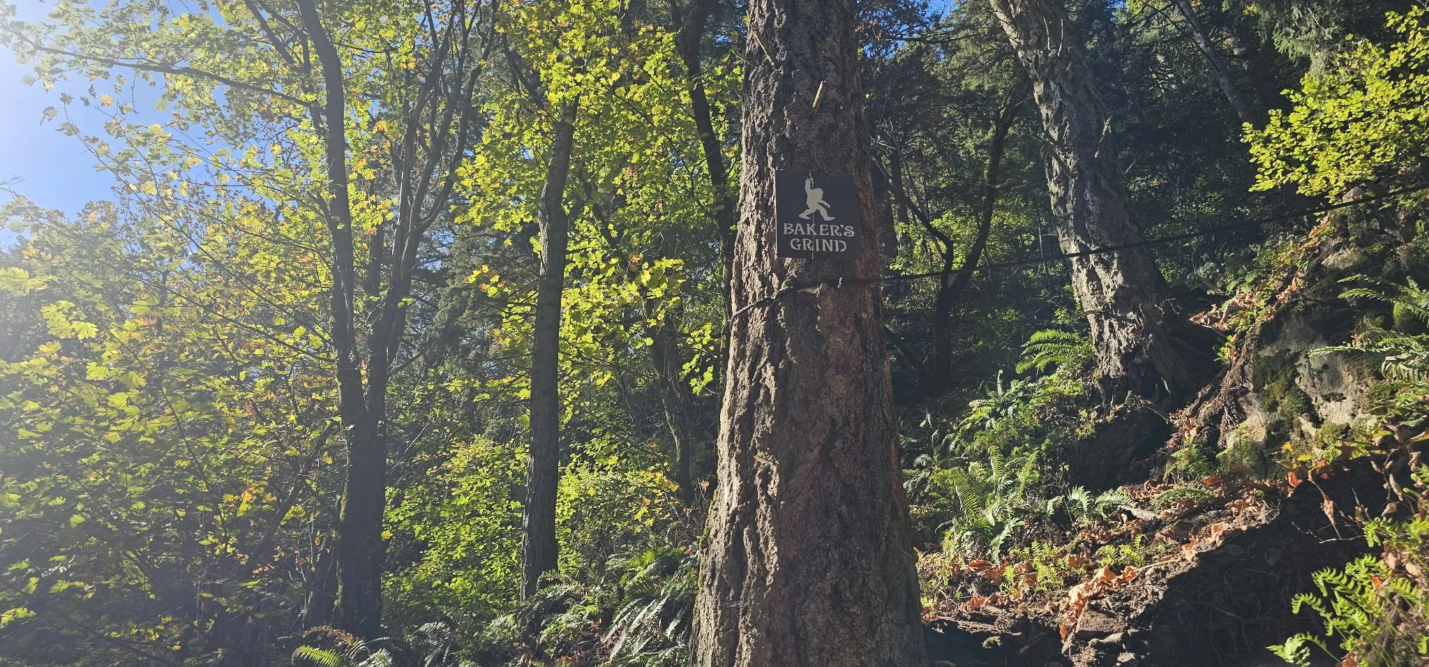 Sasquatch trail marker beside a rope section on the well-marked Super Sumas Grind
